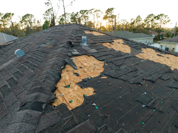 Best Metal Roofing Installation  in Green Valley, AZ